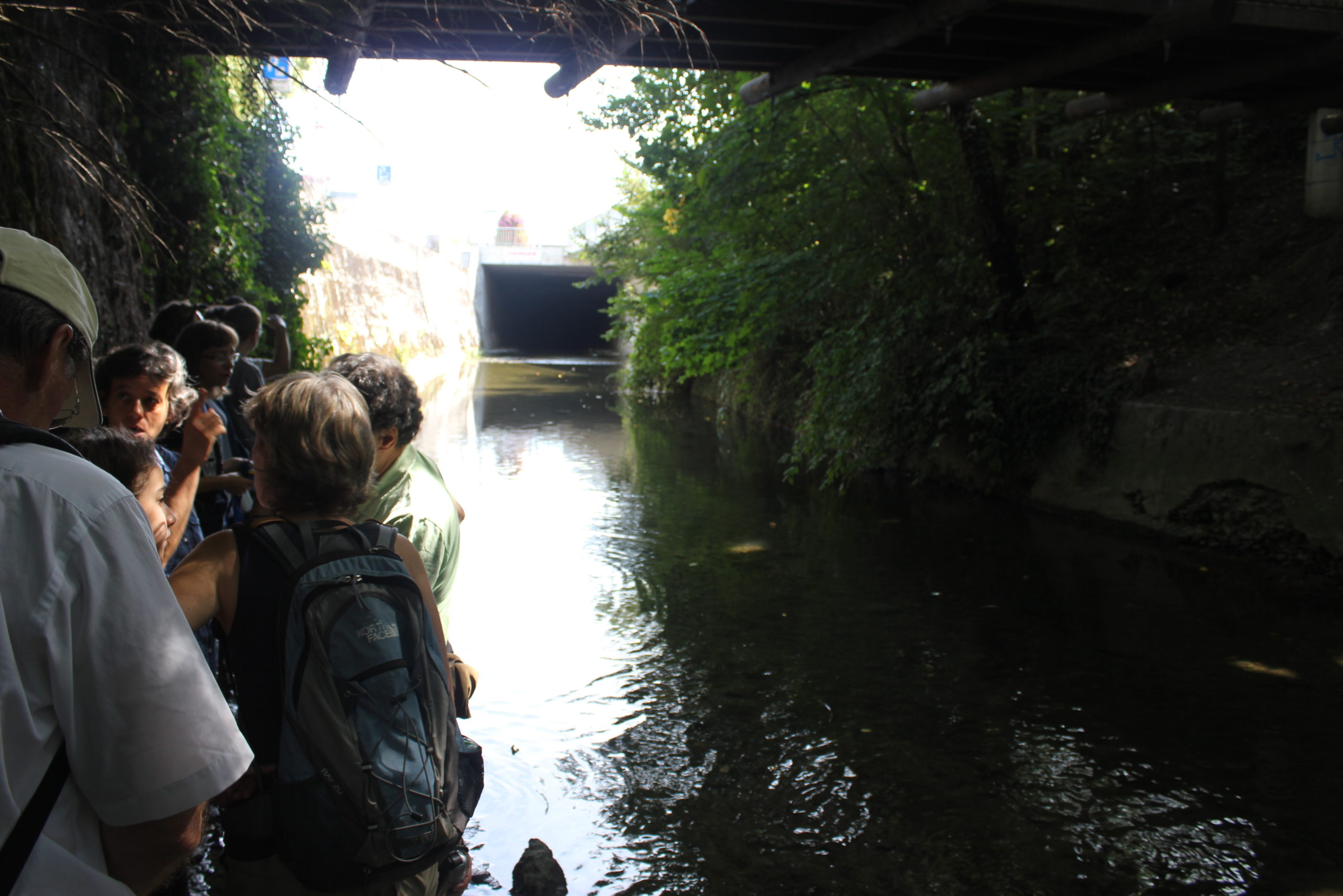 Genève-Canal de l'aire-2011JDP-10