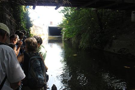 Genève-Canal de l'aire-2011JDP-10