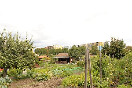 Jardins familiaux : groupement de l'Etang