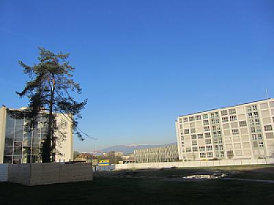 2013-04-17_09-02-48