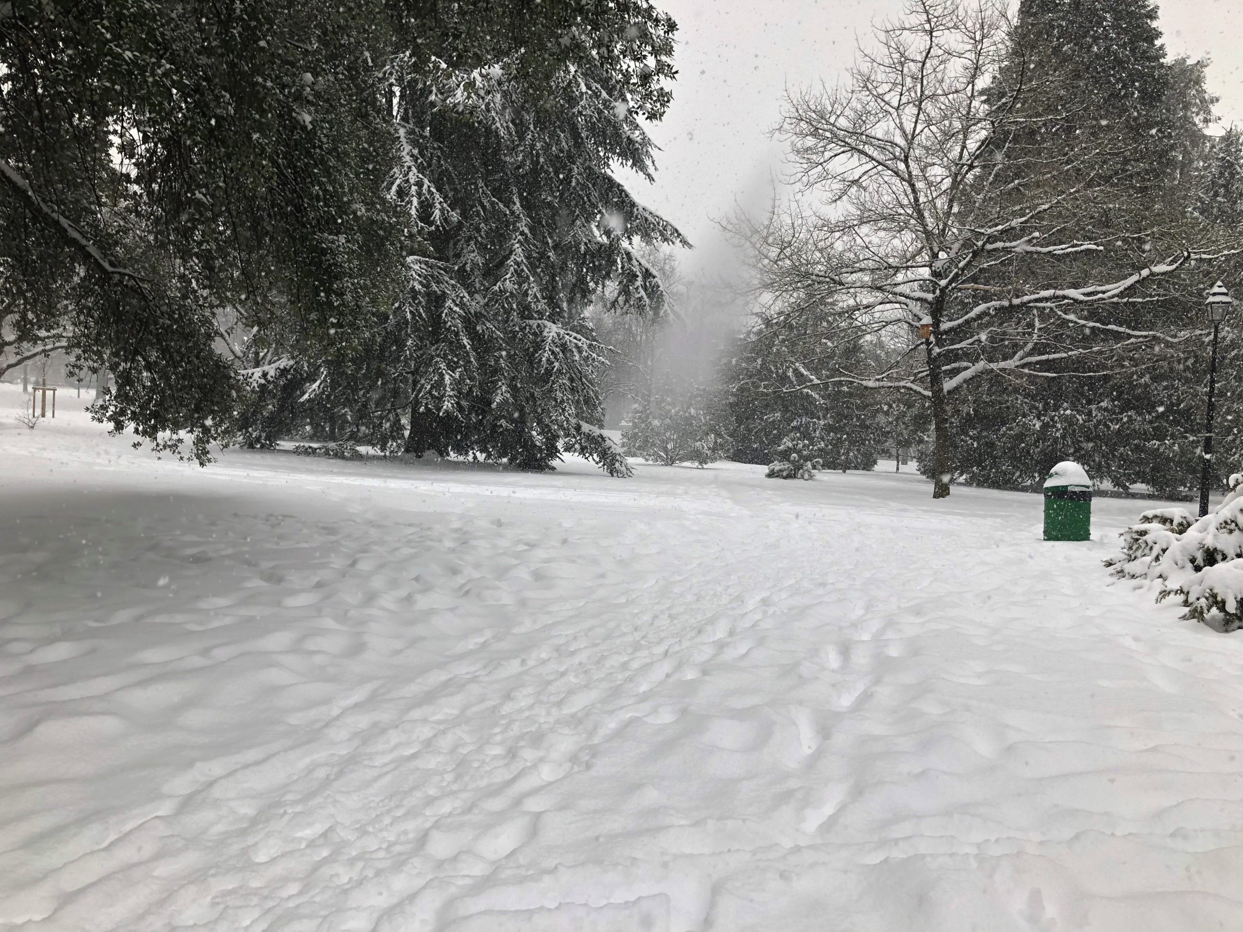 2019-01-01_14-48-19