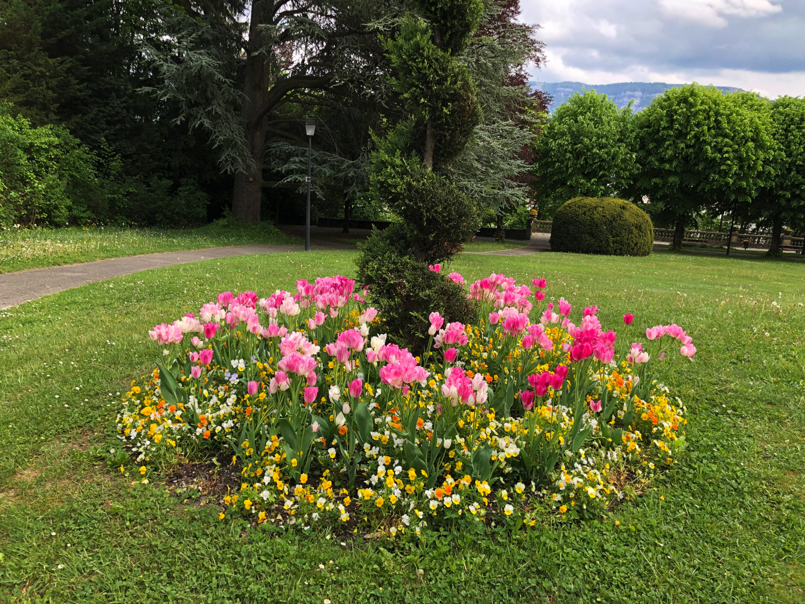 2019-01-01_14-53-07