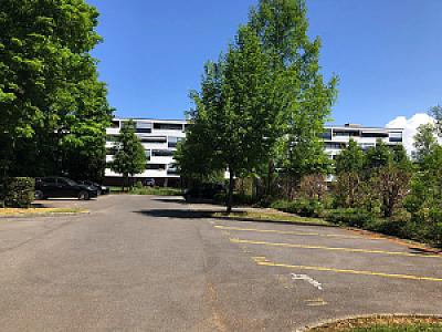 Morillon-Parc