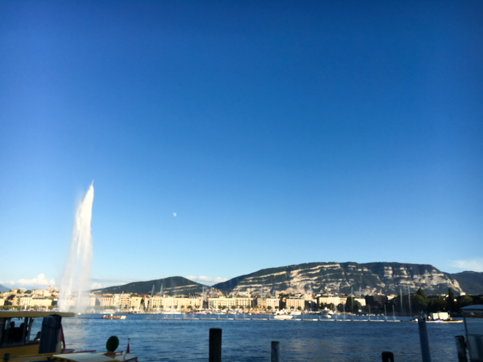 45-IMG_9444