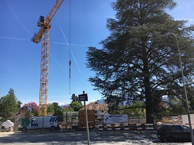Avenue de Joli-Mont 2017-04-13_14-33-33