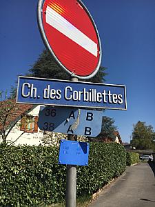 Chemin des Corbillettes 2017-04-08_12-22-56