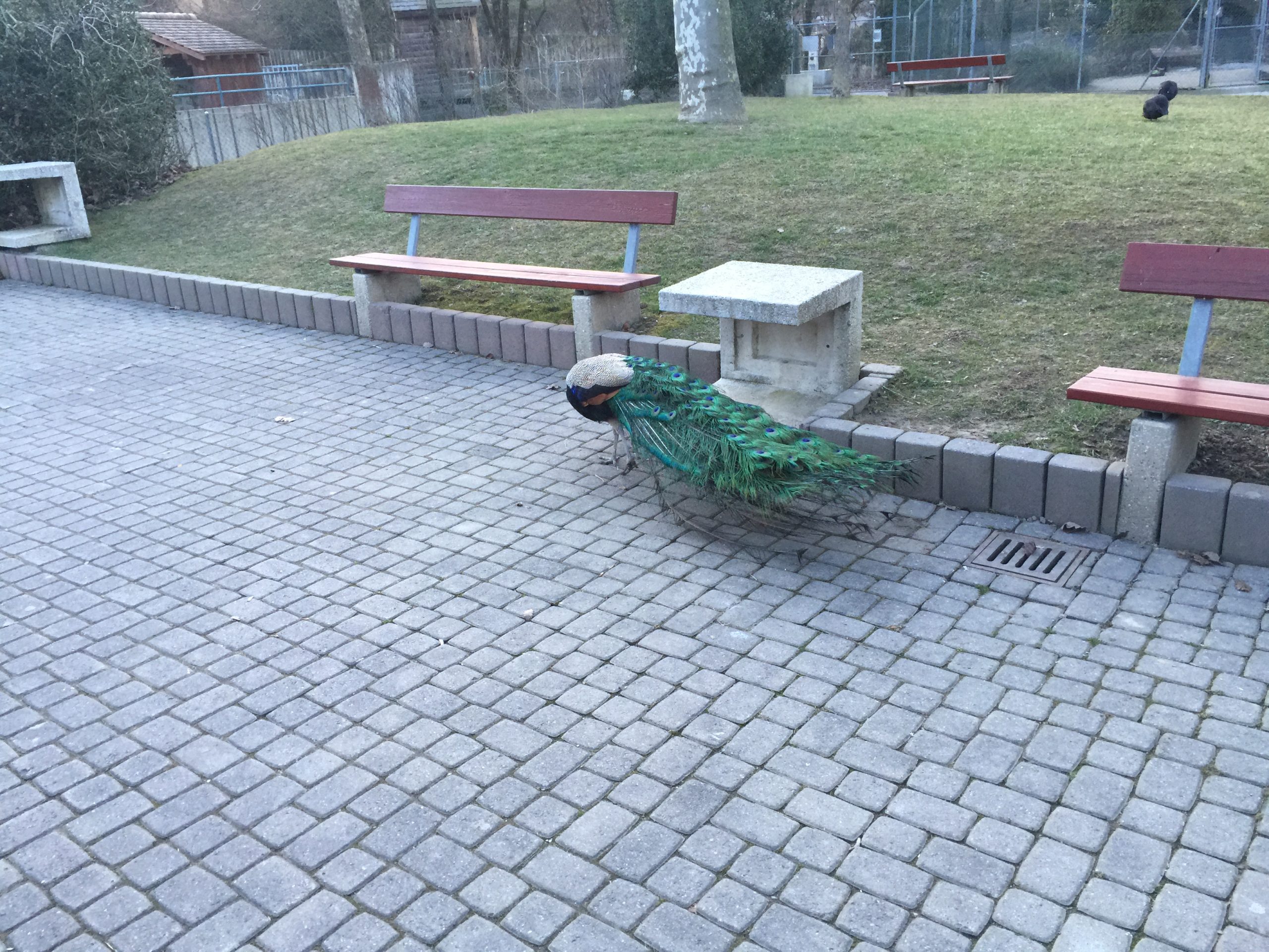 2015-03-07_18-07-27