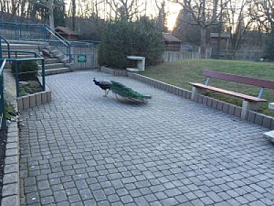 2015-03-07_18-07-36