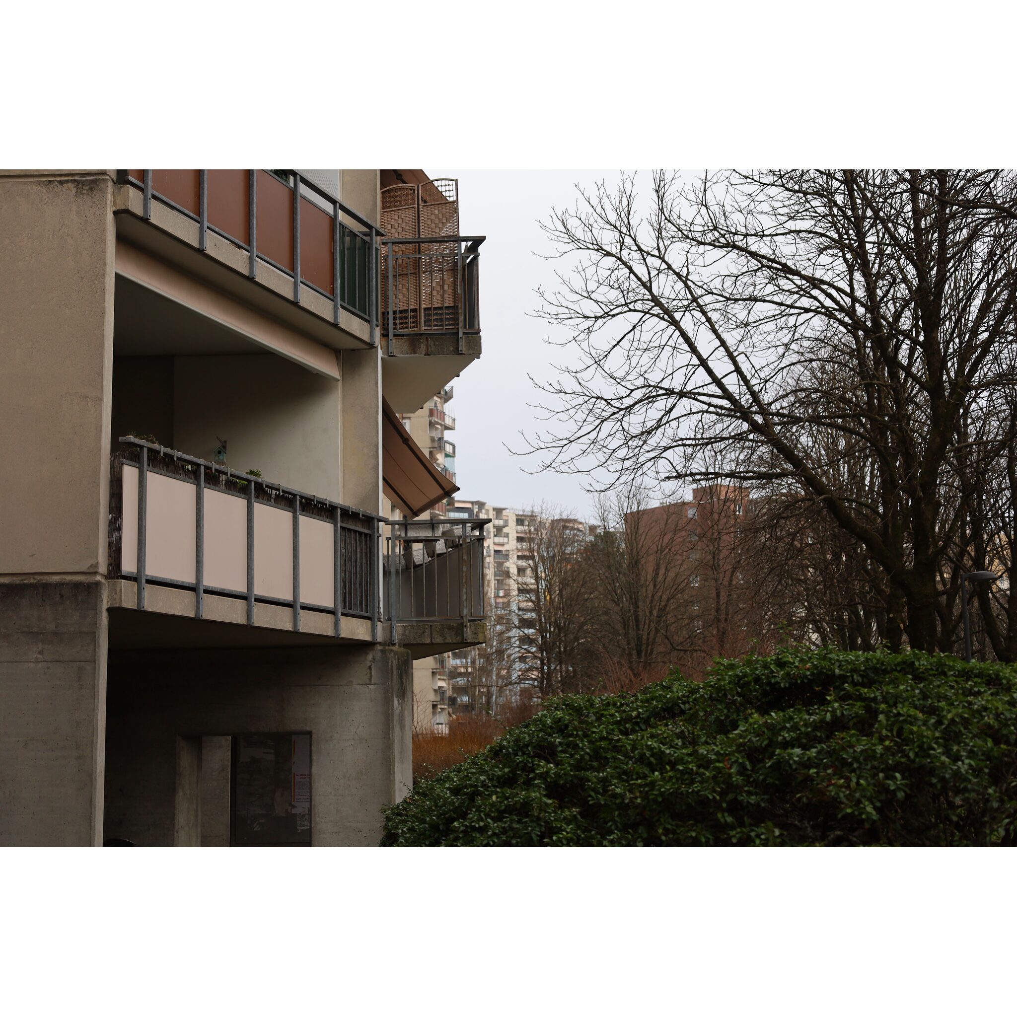 2026-01-17_15-40-46