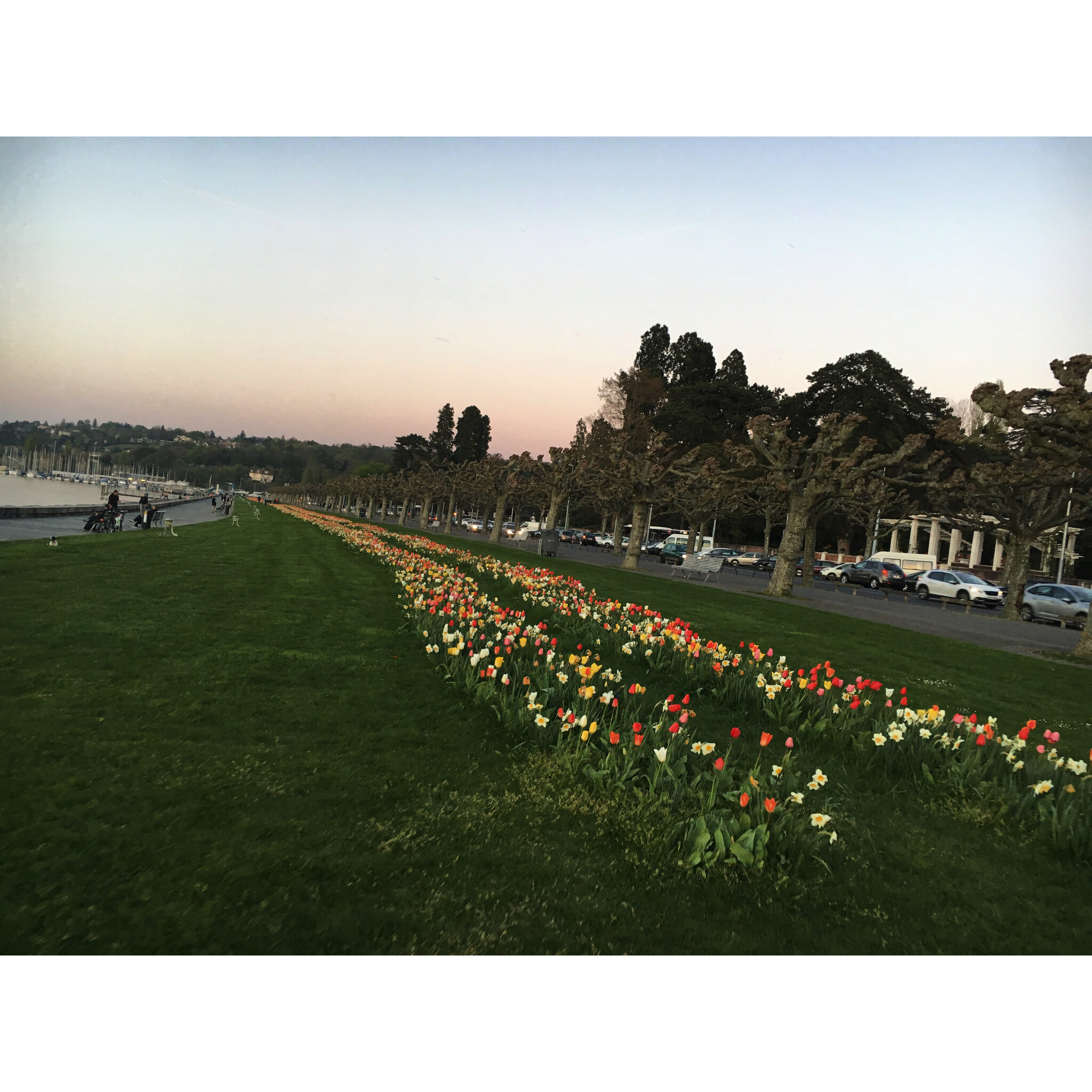 2017-04-07_20-16-21 1