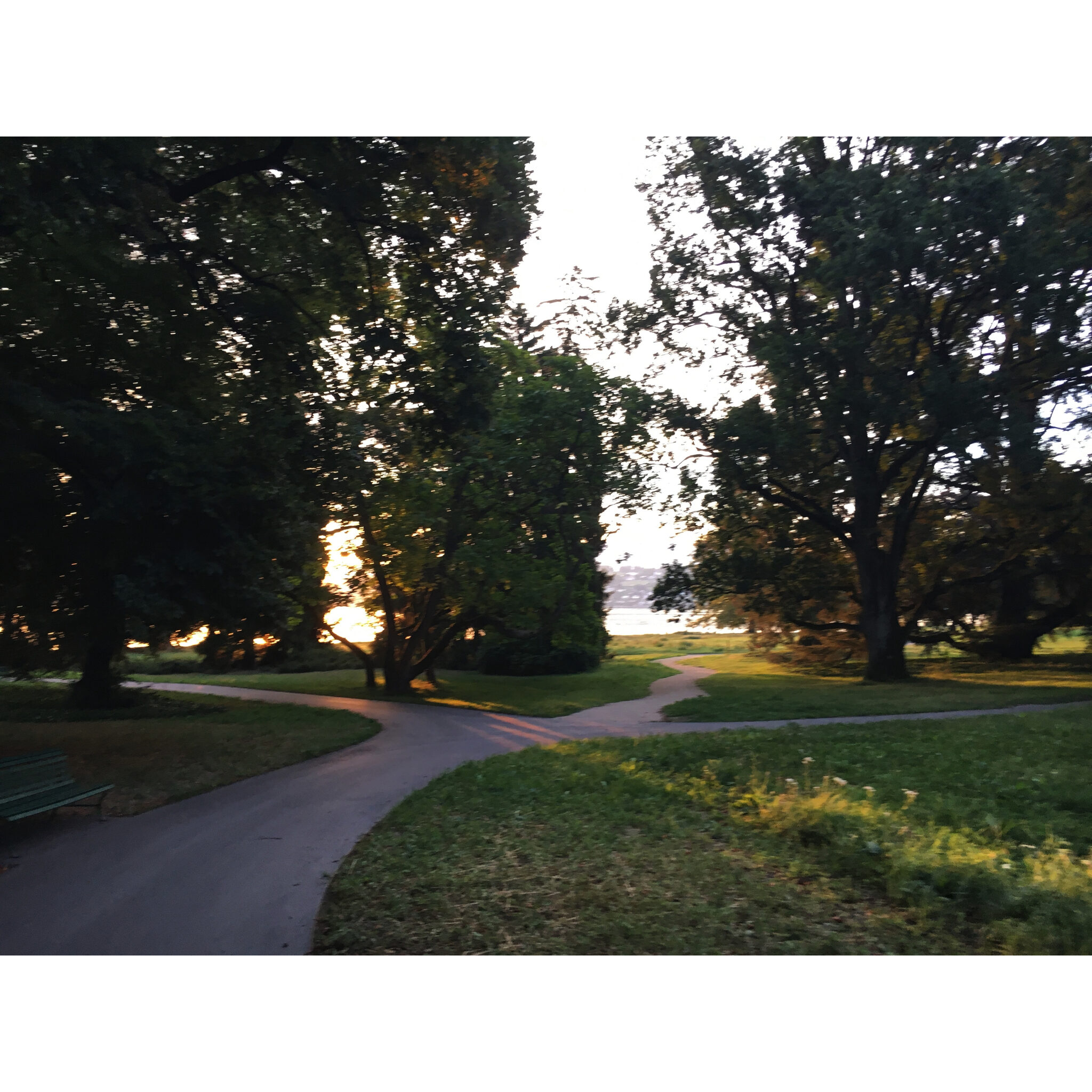 2017-08-15_06-53-11 1