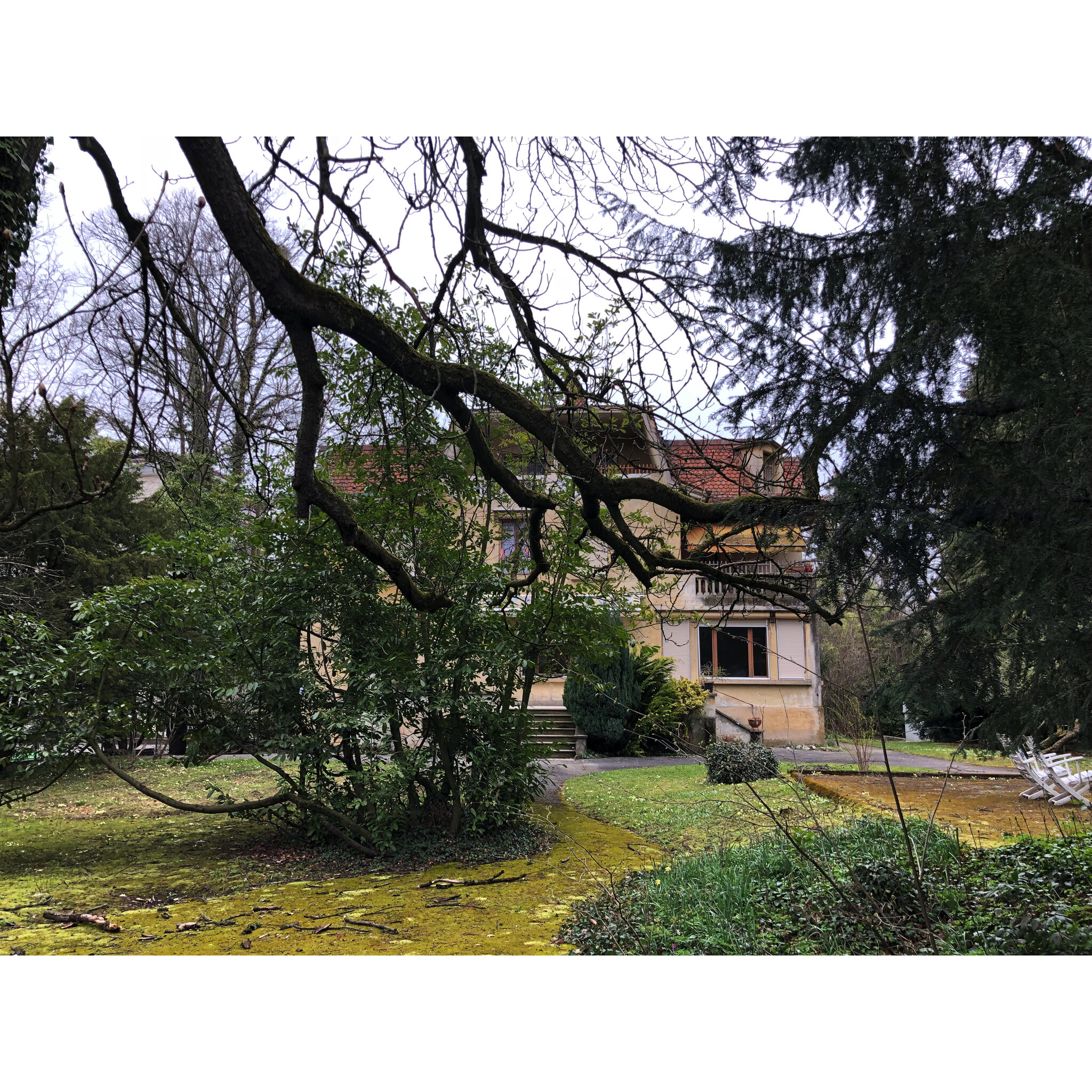 2019-01-01_14-49-03