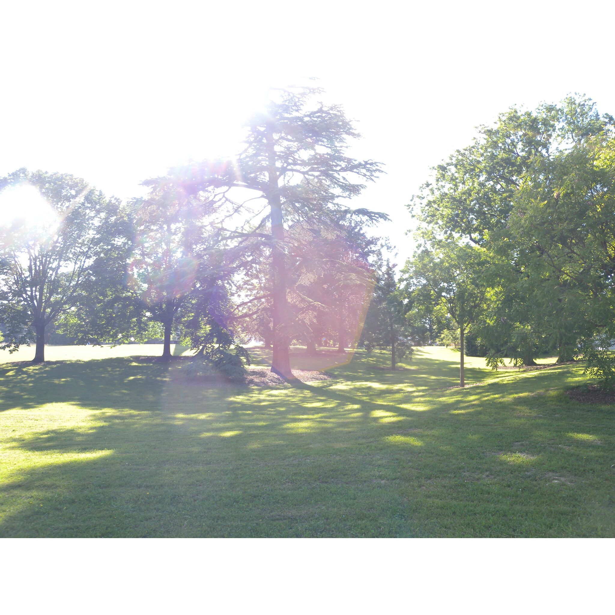 2010-06-05_16-35-49