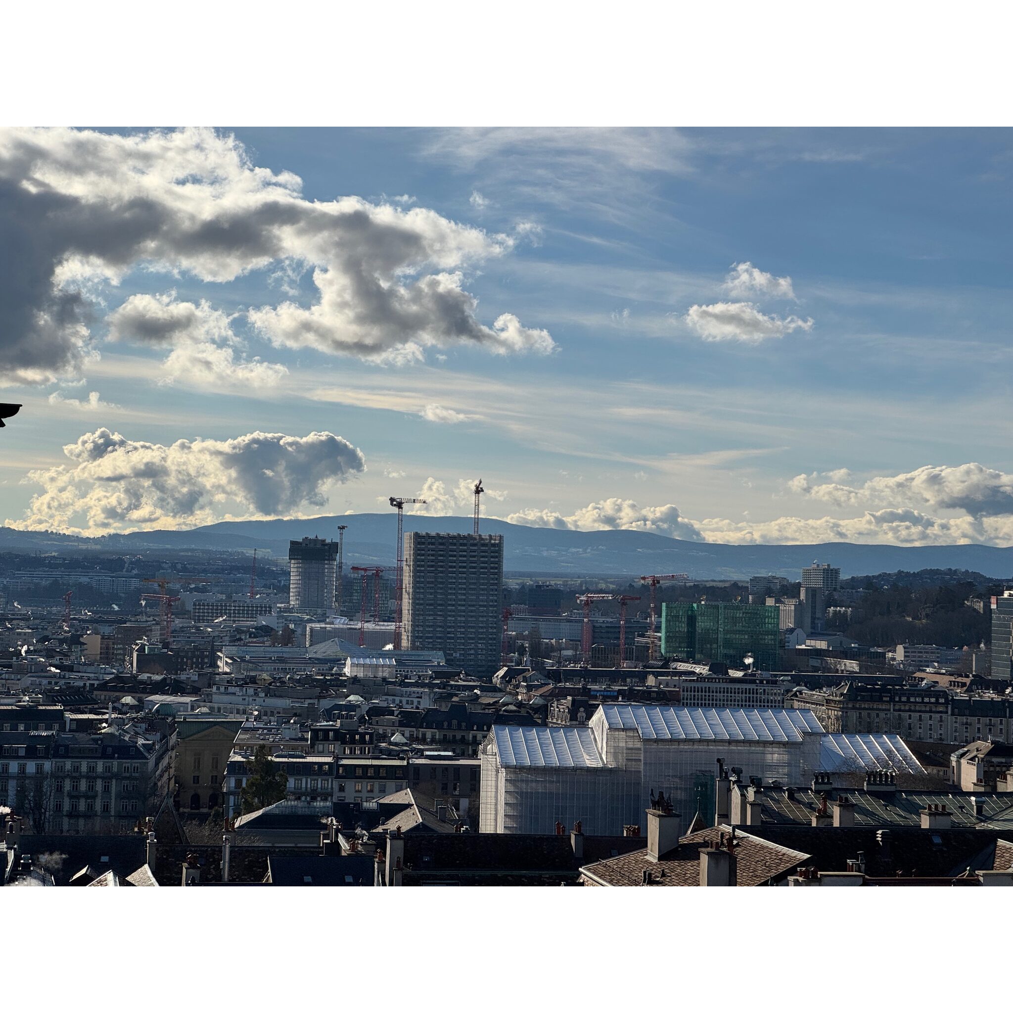IMG_7282