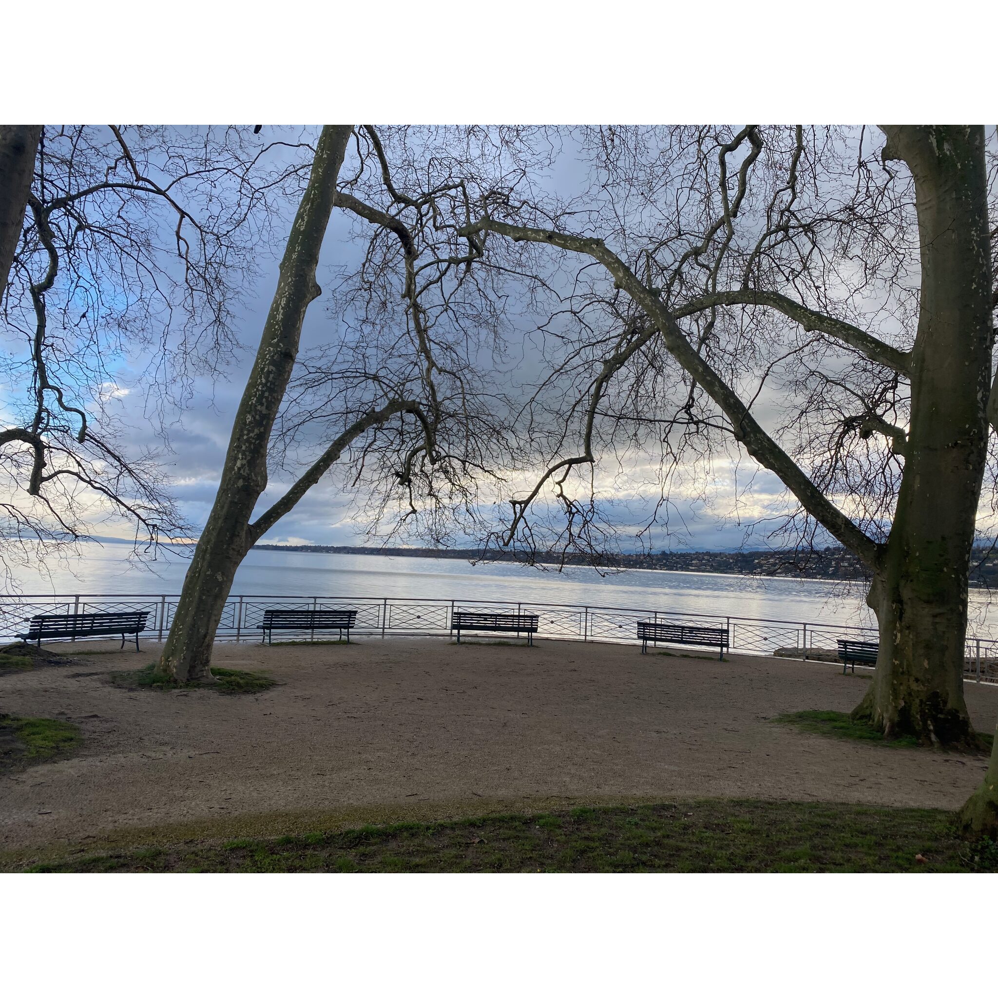 Parc William-RAPPARD