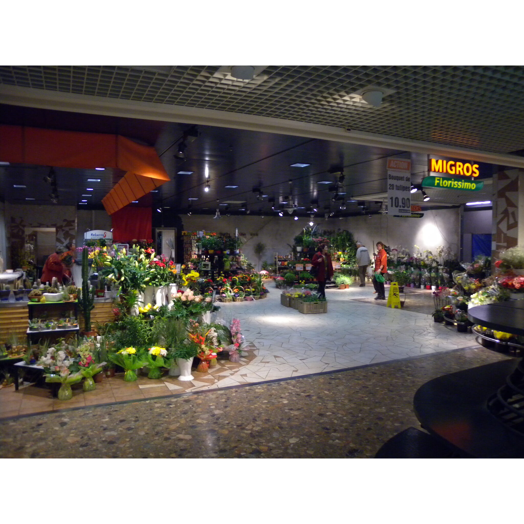 2010-04-09_08-34-13
