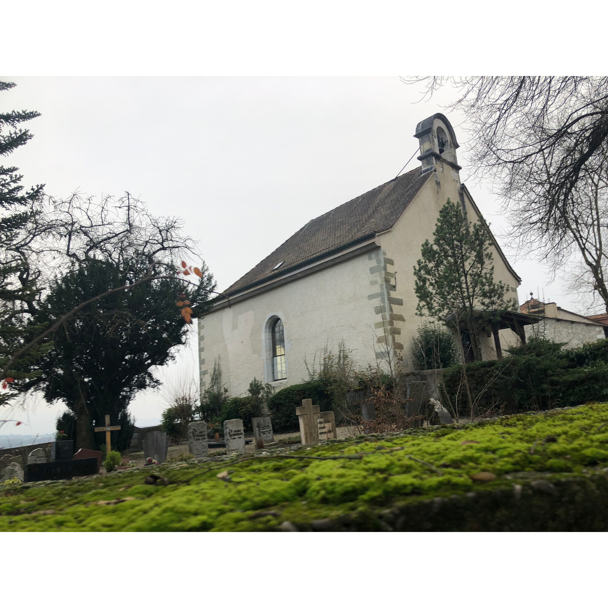 Chemin de Châteauvieux 2018-12-15_15-38-43