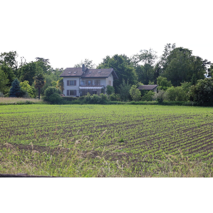 Chemin de Bonvard 61