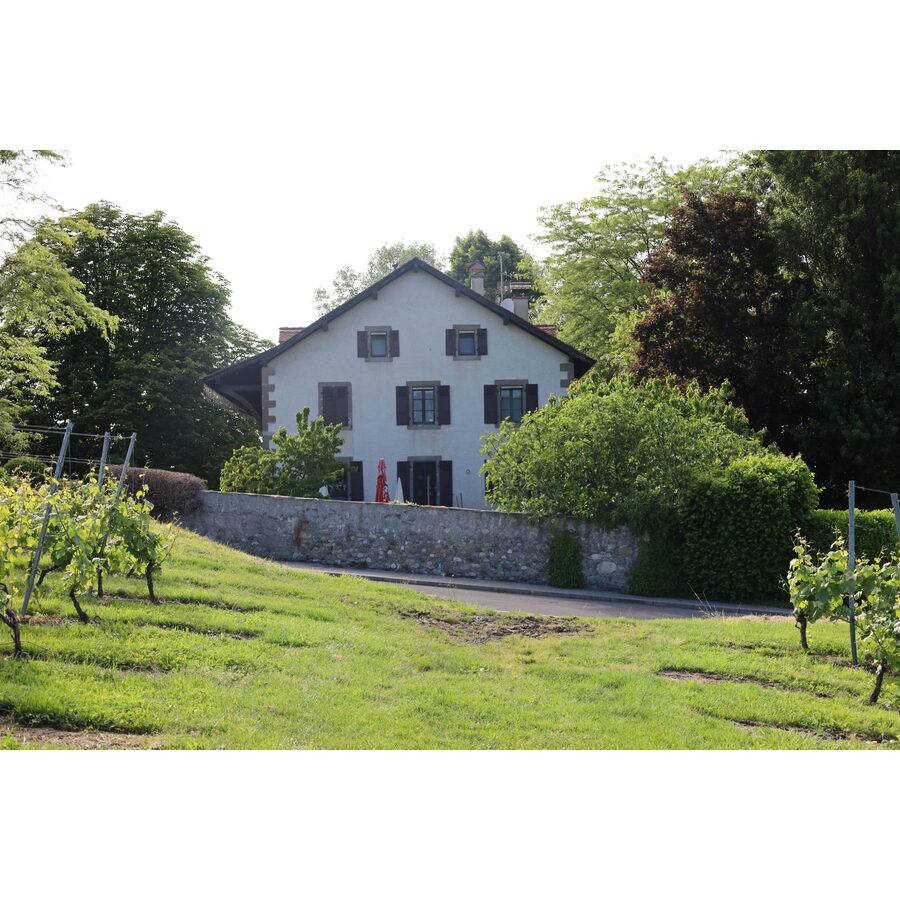 Route de Meinier 177-179