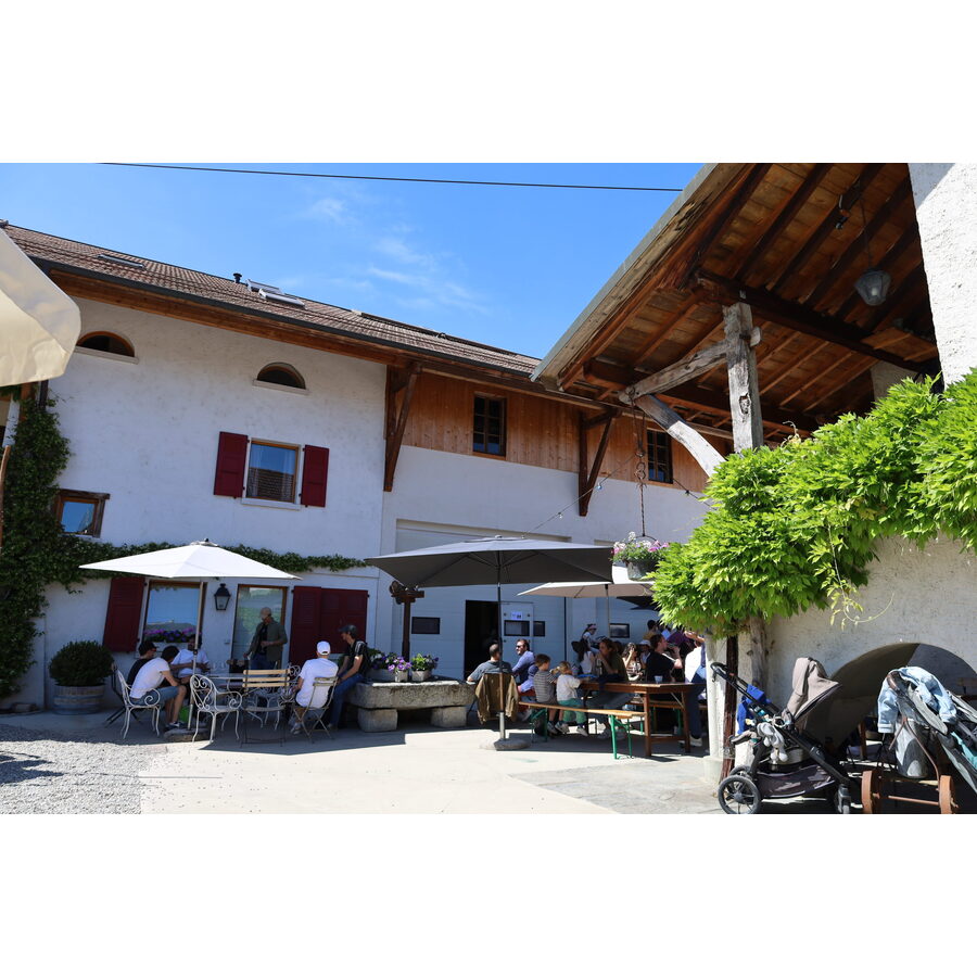 Domaine de Cherre