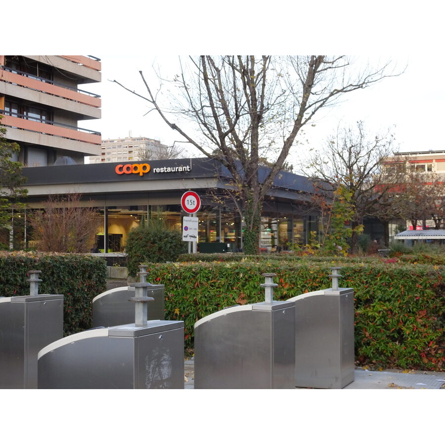 Rue des Bossons 21