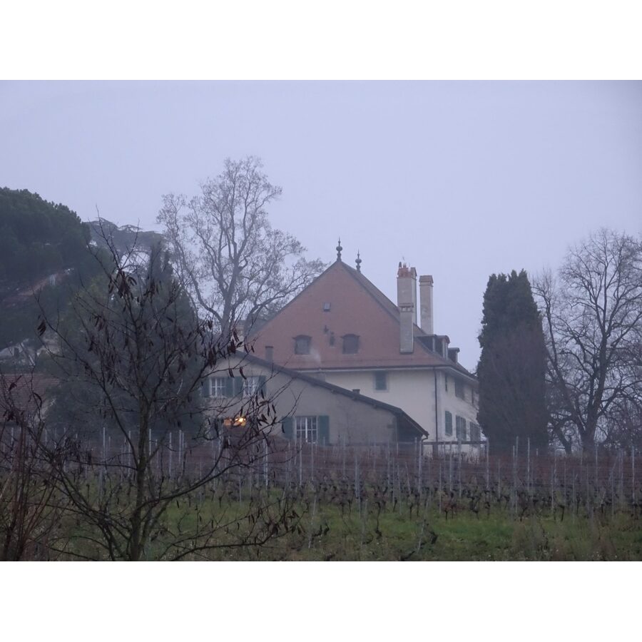 Route de Champvigny 29