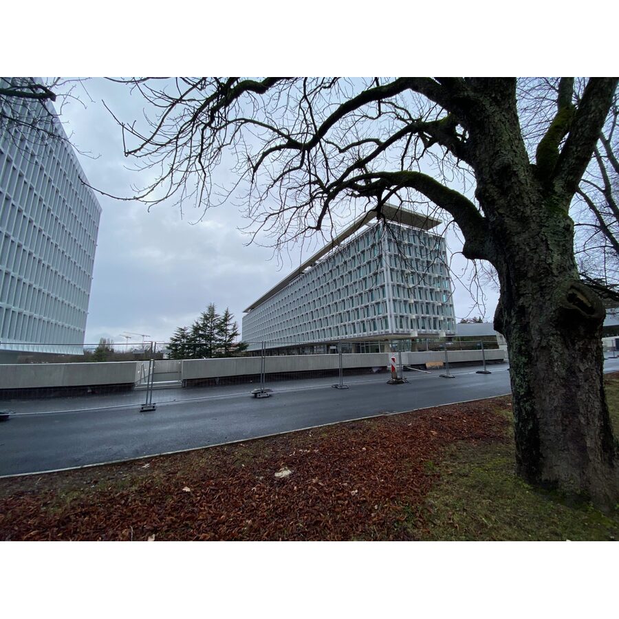 Organisation Mondiale de la Santé