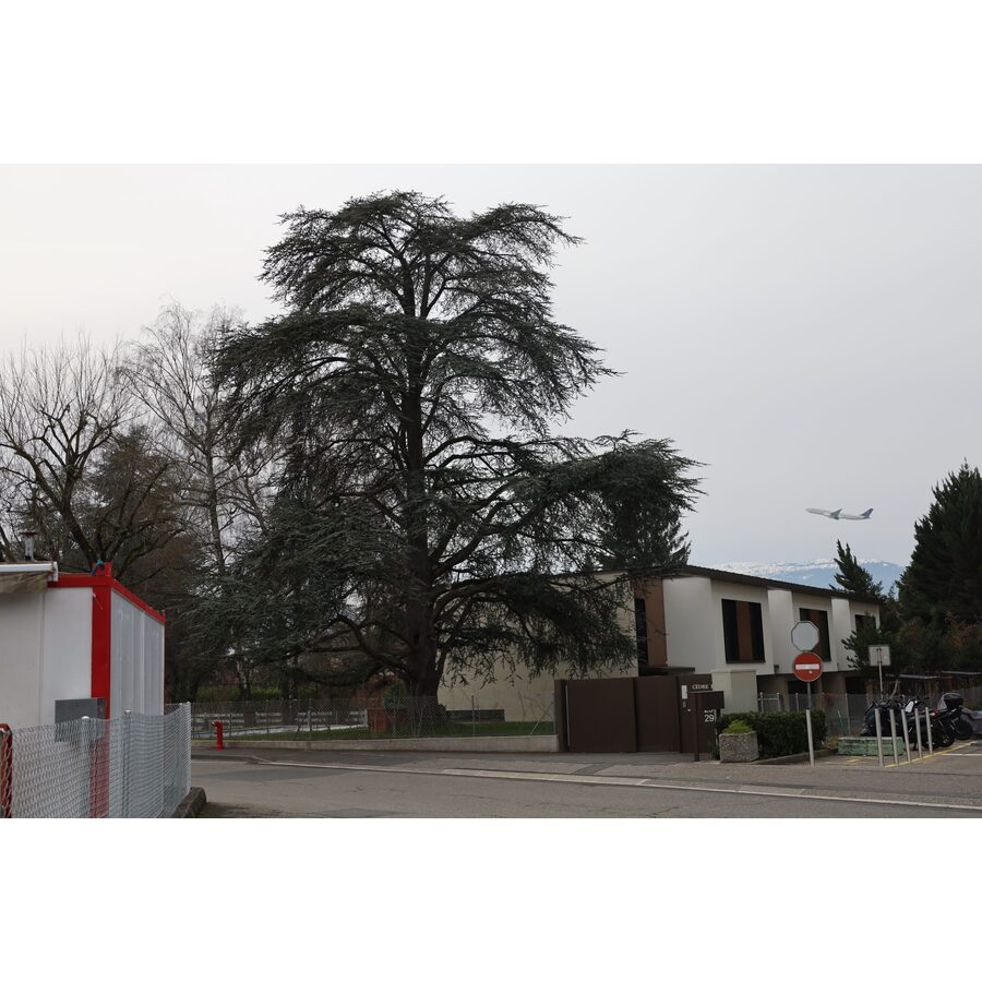 Chemin de l'Avanchet 29