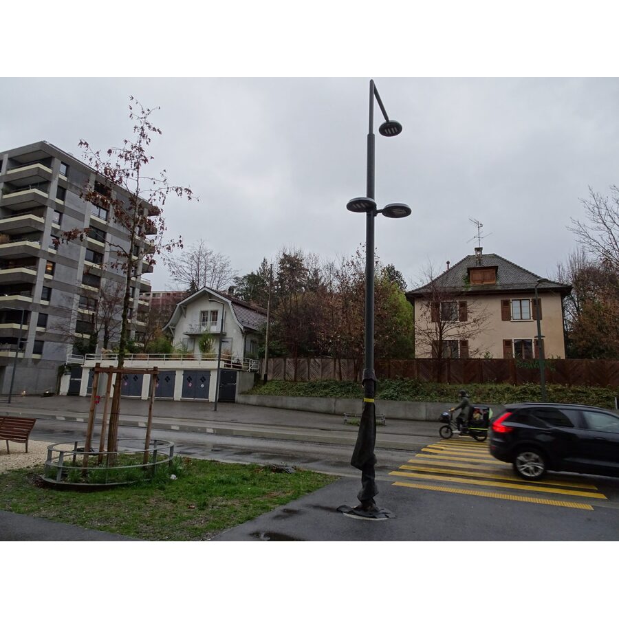 Quatre villas Avenue de la Gare des Eaux-Vives