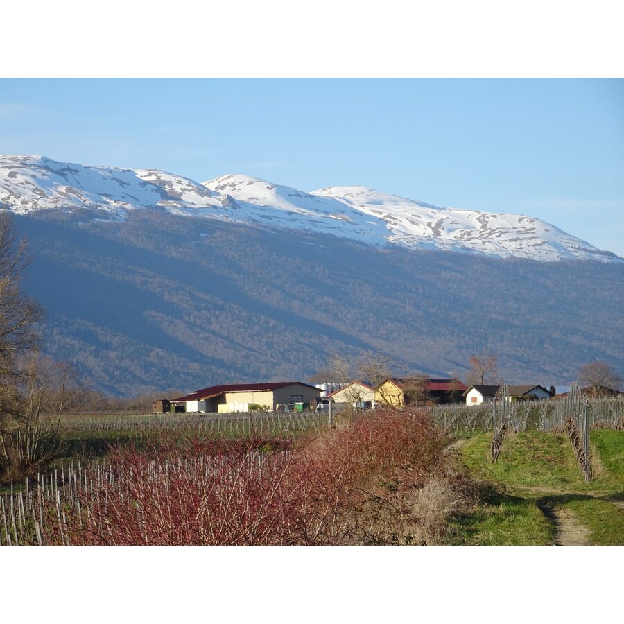 Route de l'Allondon 29
