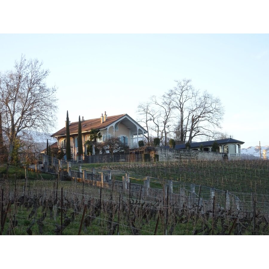 Chemin du Paradis (Satigny) 9