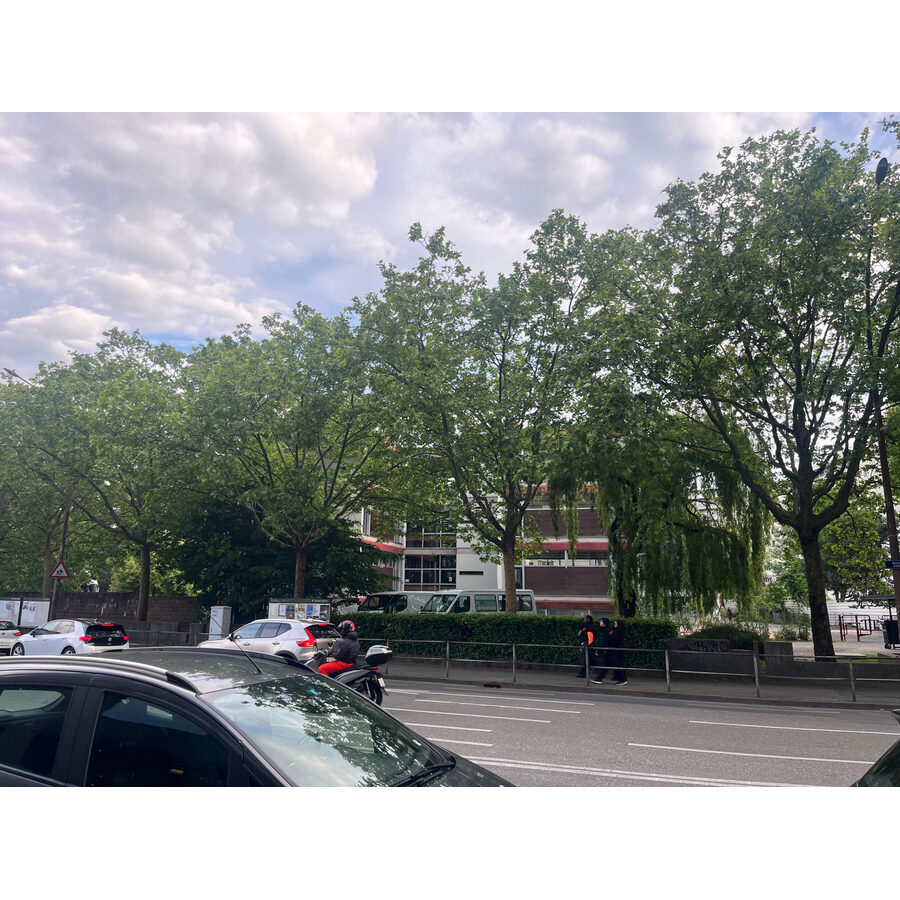 Ecole des Charmilles