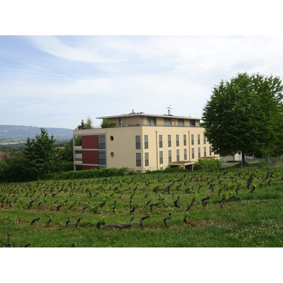 Résidence "Les Vignobles"
