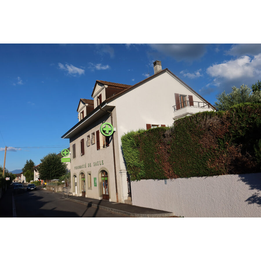 Chemin de Saule 27