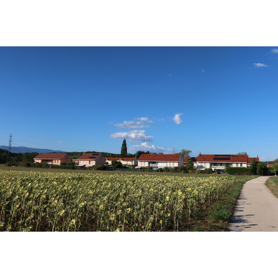 Chemin des Cressonnex 16-38