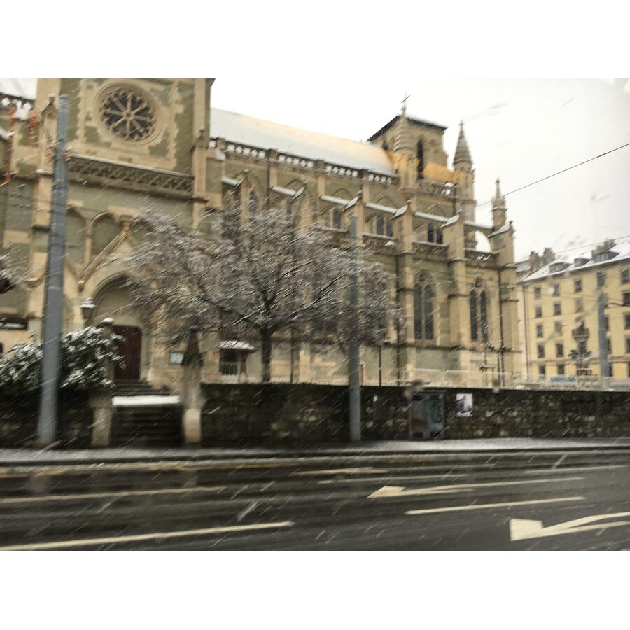 Basilique Notre Dame