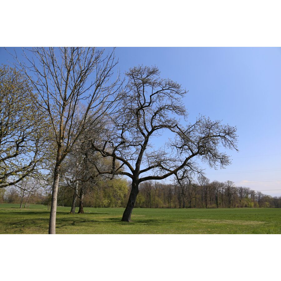 Domaine de la Grande Coudre