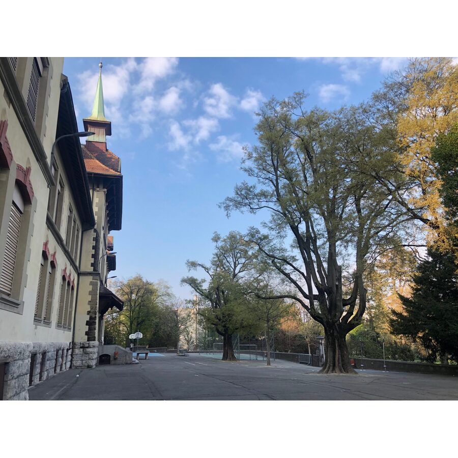 Ecole primaire de la Rue BAULACRE