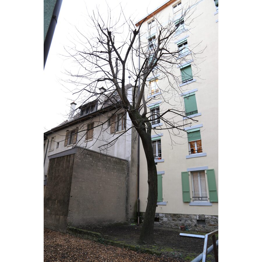 Rue des Plantaporrêts 6
