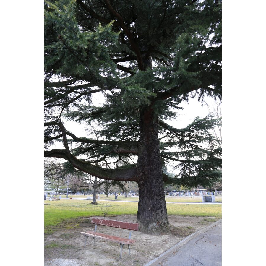 Cimetière de Châtelaine