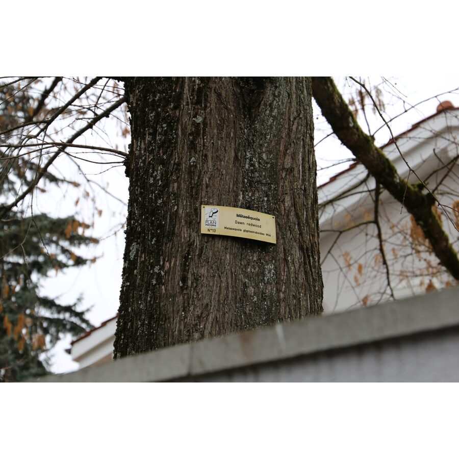 Chemin des Coudriers 39