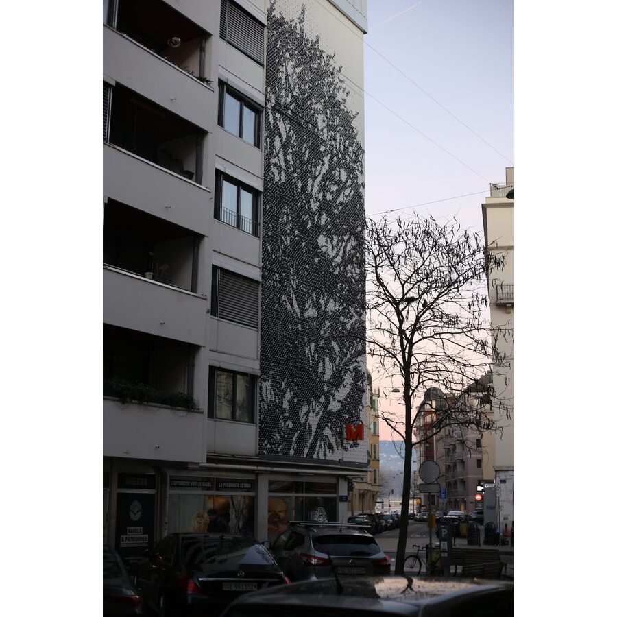 Rue du Môle 2