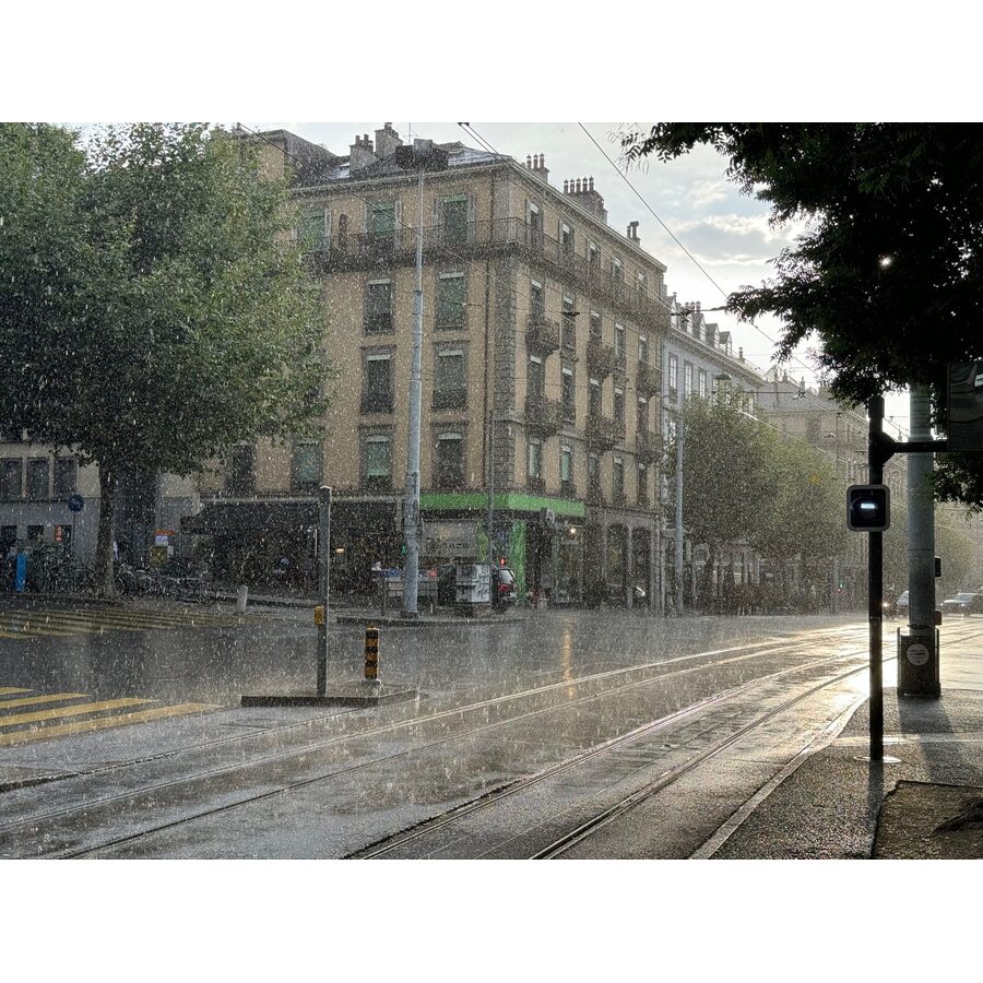 Cours de Rive 20
