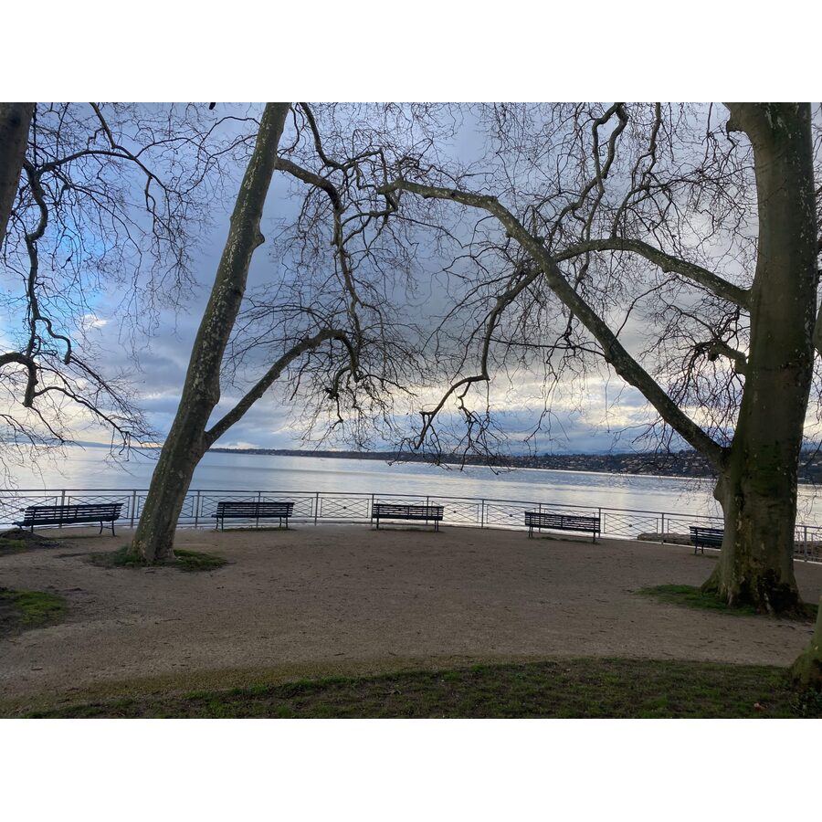 Parc William-RAPPARD
