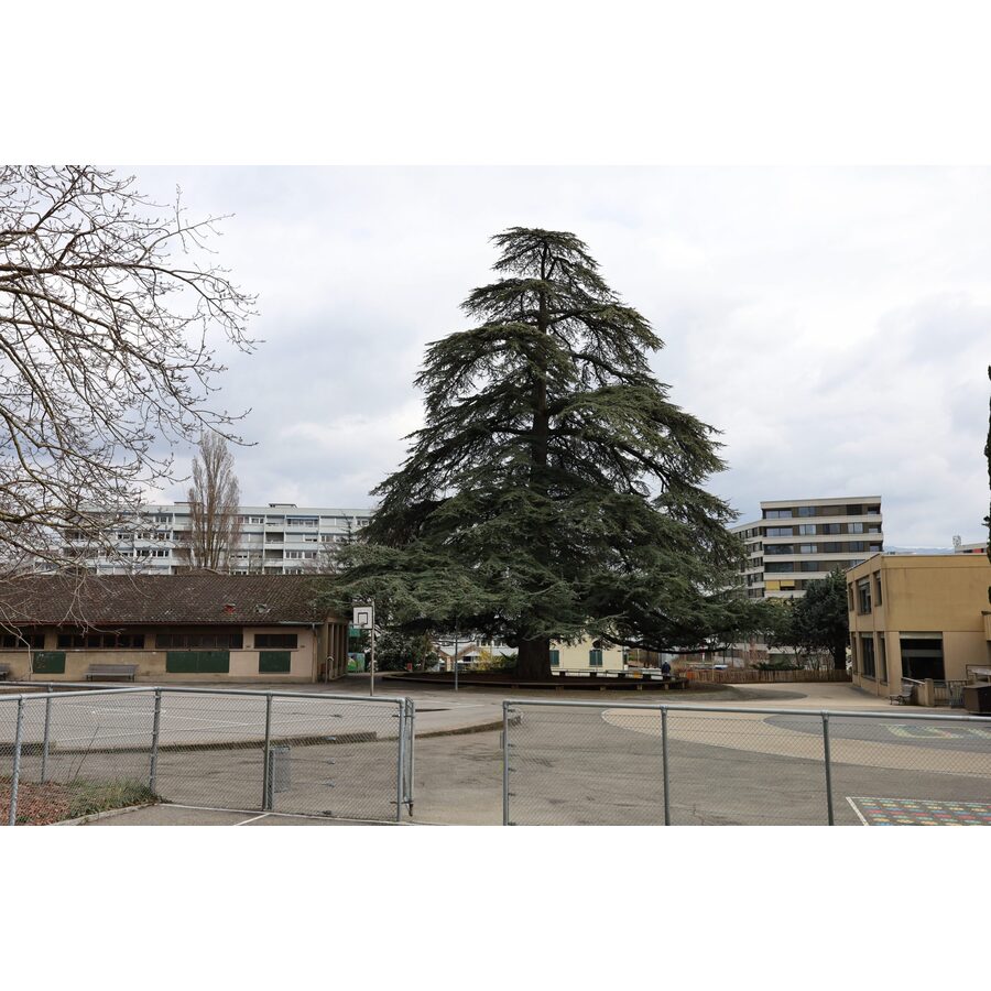 Ecole des Franchises