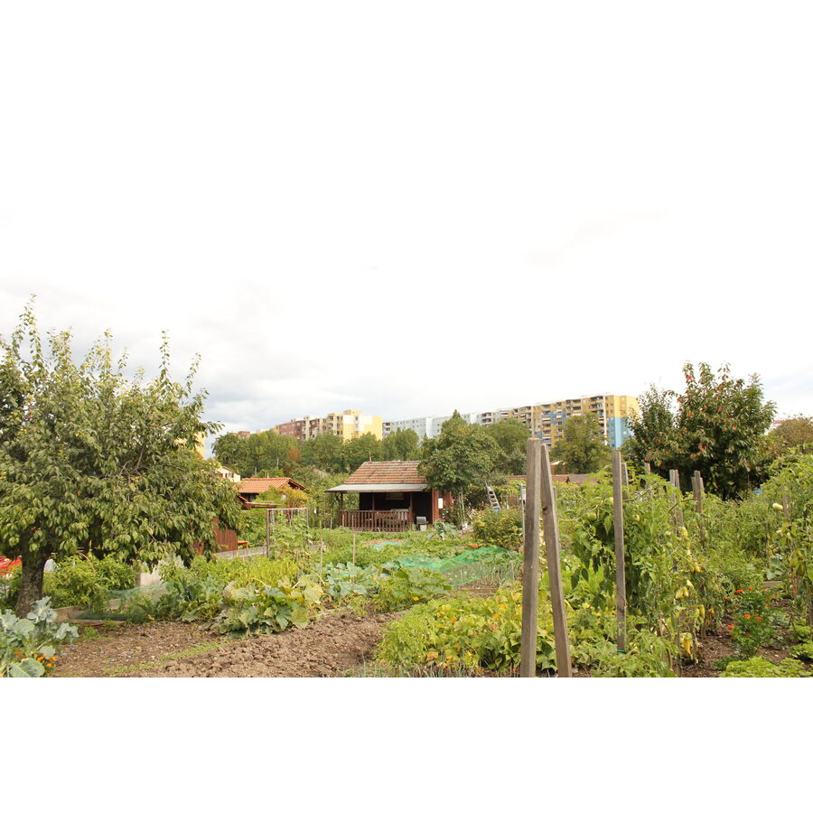 Jardins familiaux : groupement de l'Etang