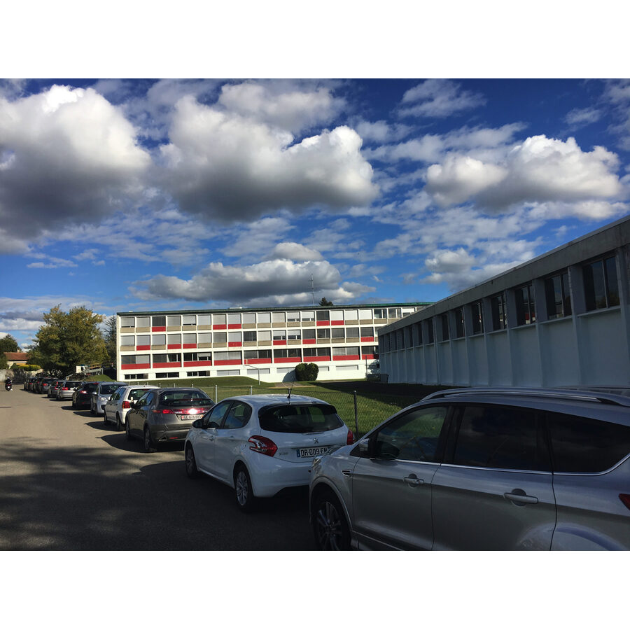 Cycle d'Orientation du Renard