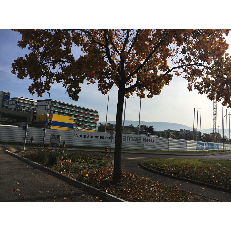 Amag Petit-Lancy