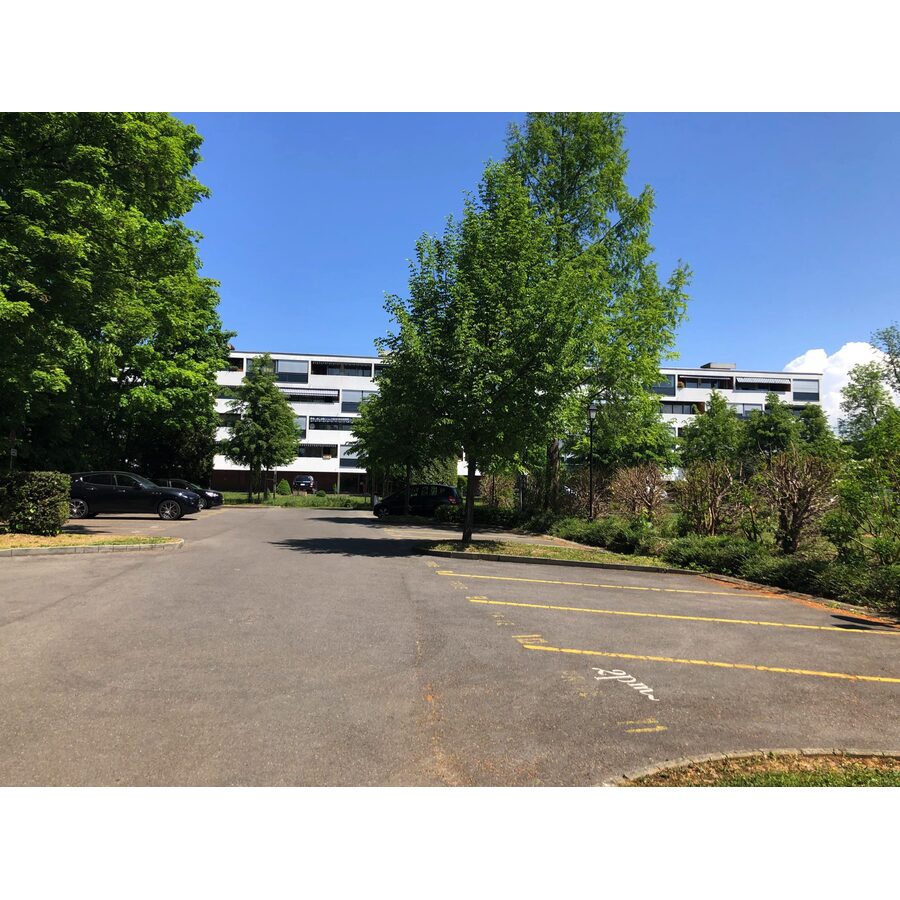 Morillon-Parc