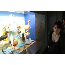 2013-04-14_16-51-47